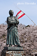 龍馬像＆桜：長崎市風頭公園